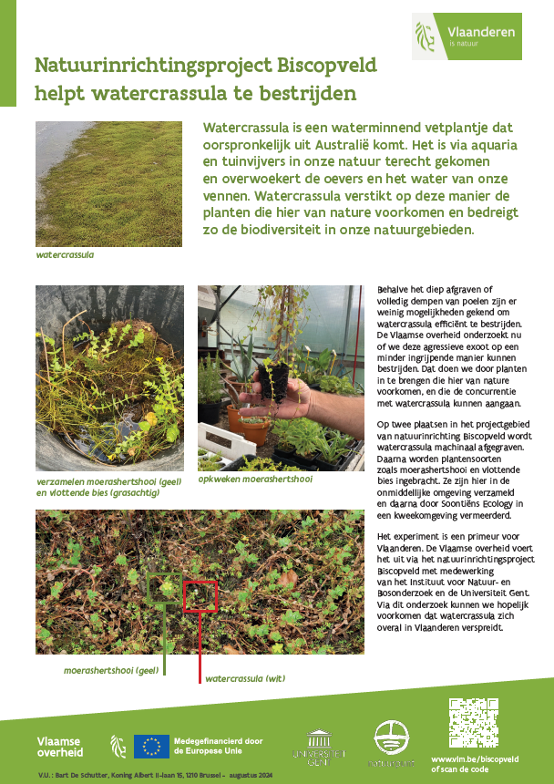 infobord watercrassula