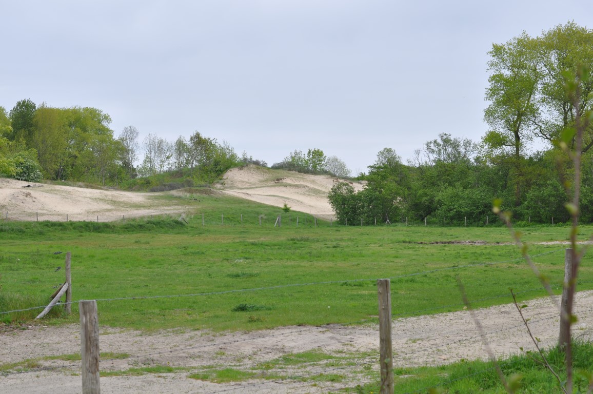 Zicht op duinenlandschap