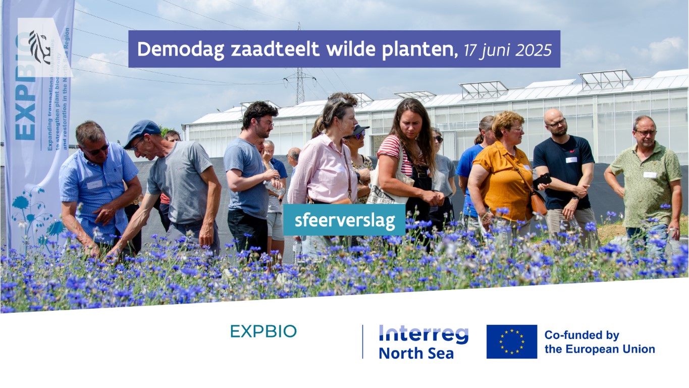 sfeerbeeld terreinbezoek demodag in Viaverda - proefveld korenbloemen