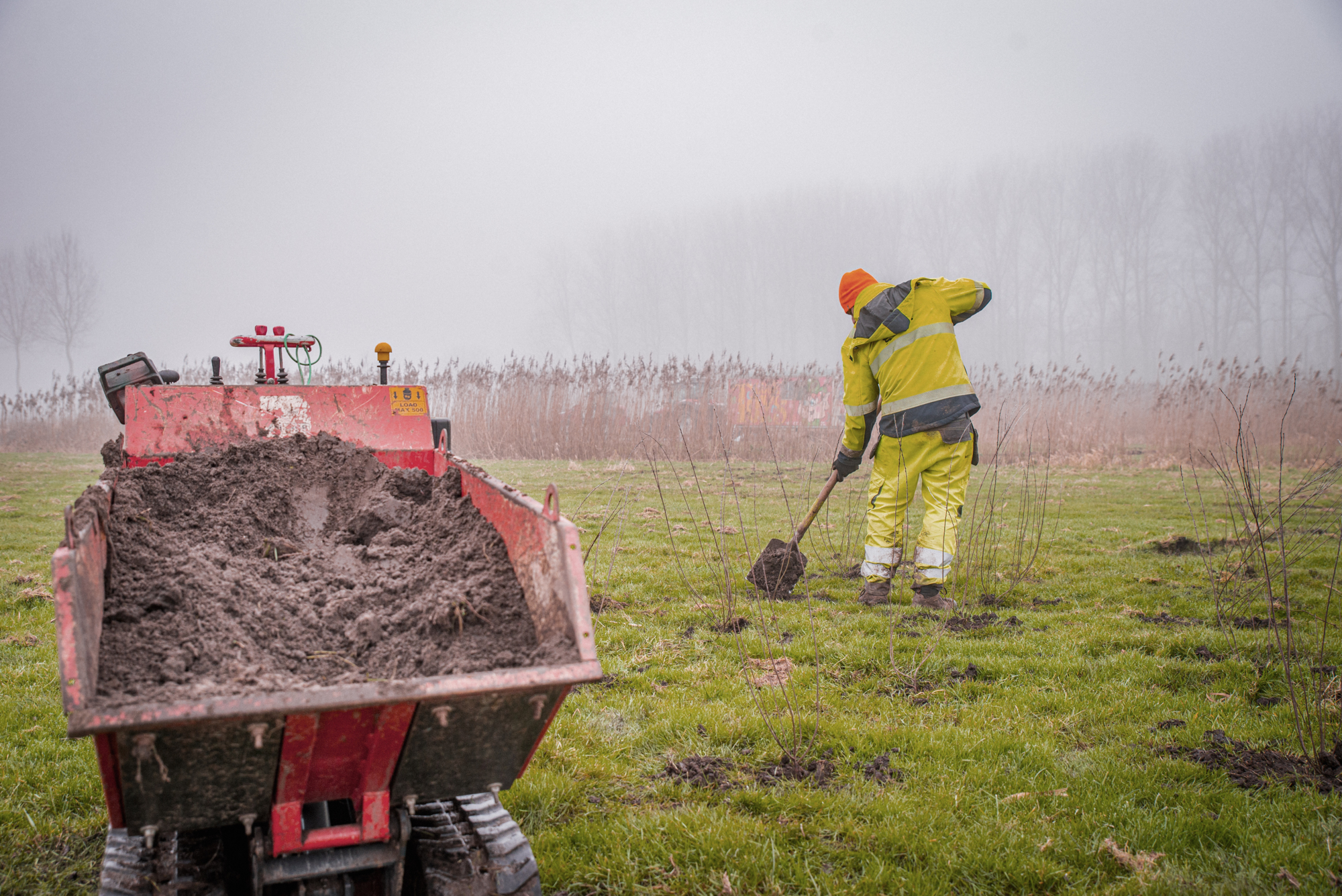 Groendienst Gent plant bomen (c)StadGent