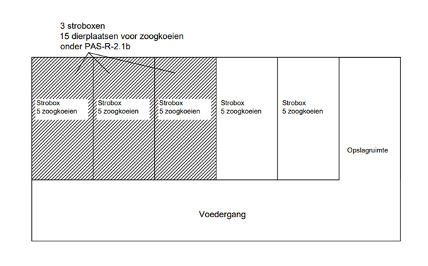 visuele voorstelling voorbeeld