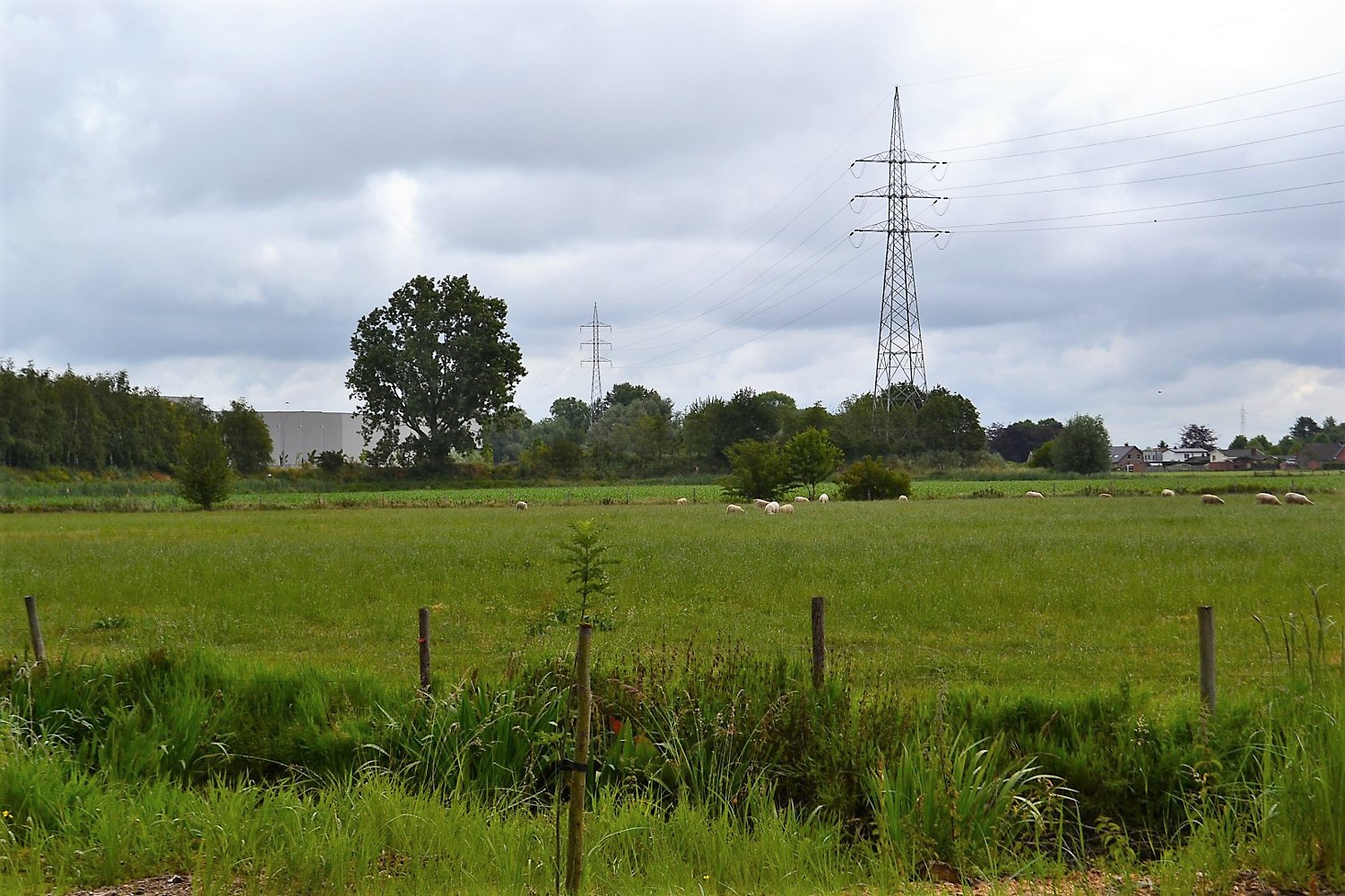 fabriek mast weides