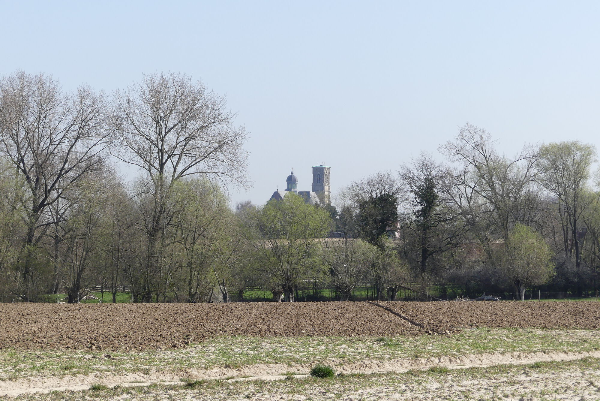 Foto toont landschap in het project