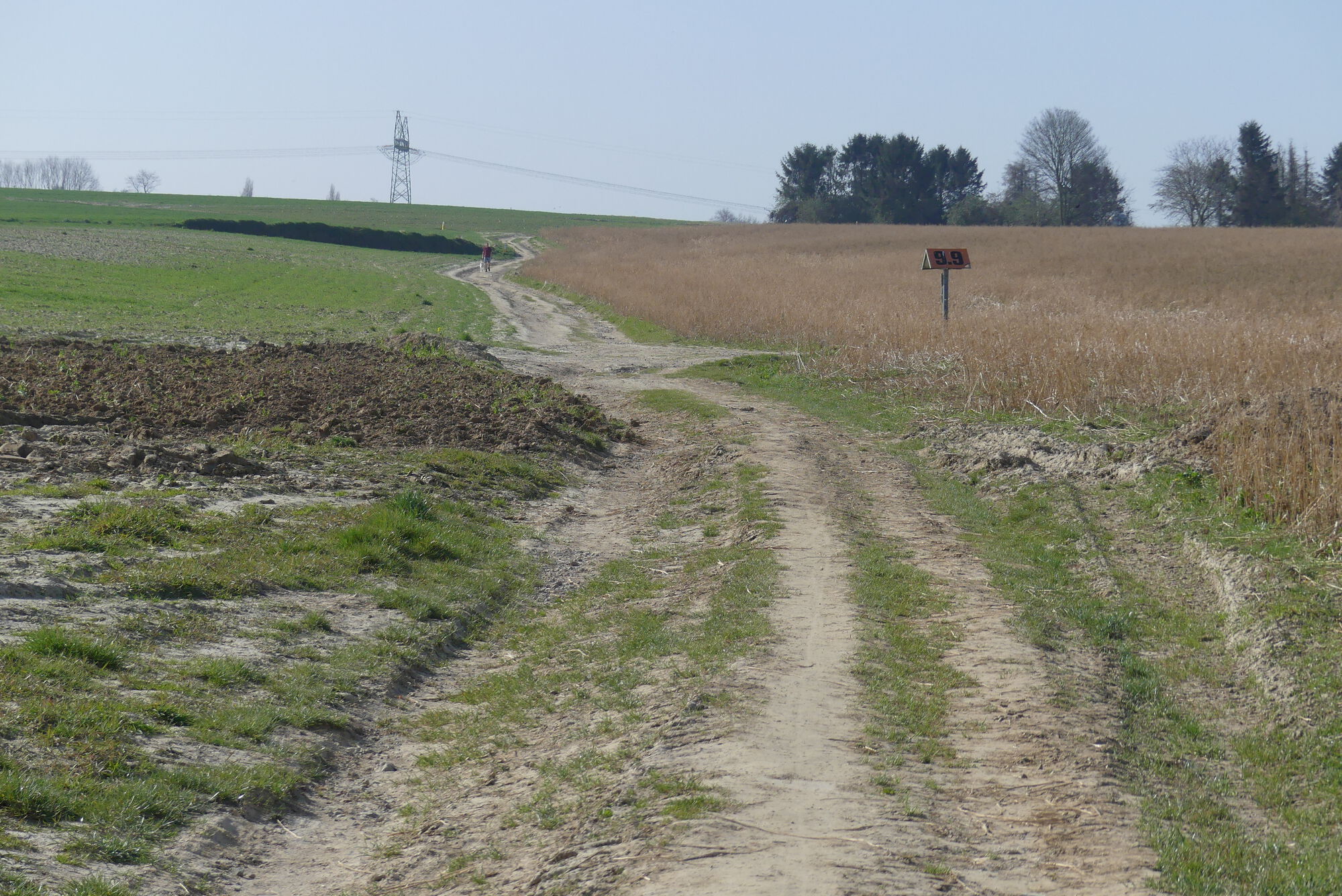 Foto toont landschap in de 