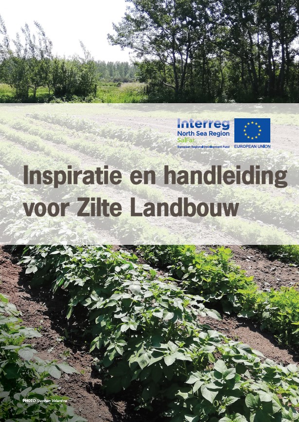 Cover van de publicatie Zilte landbouw, met groenteveld