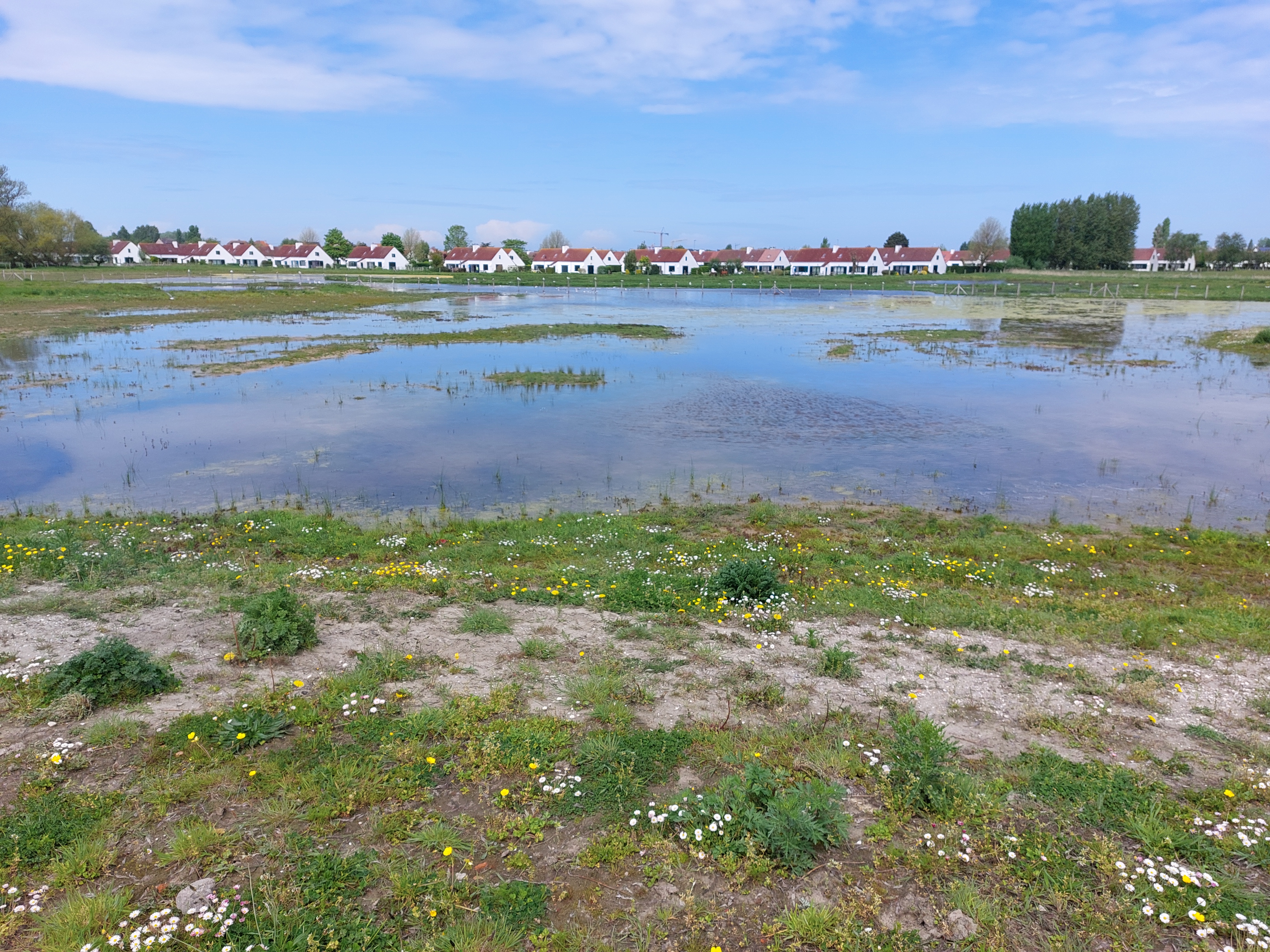 nieuwe natuur