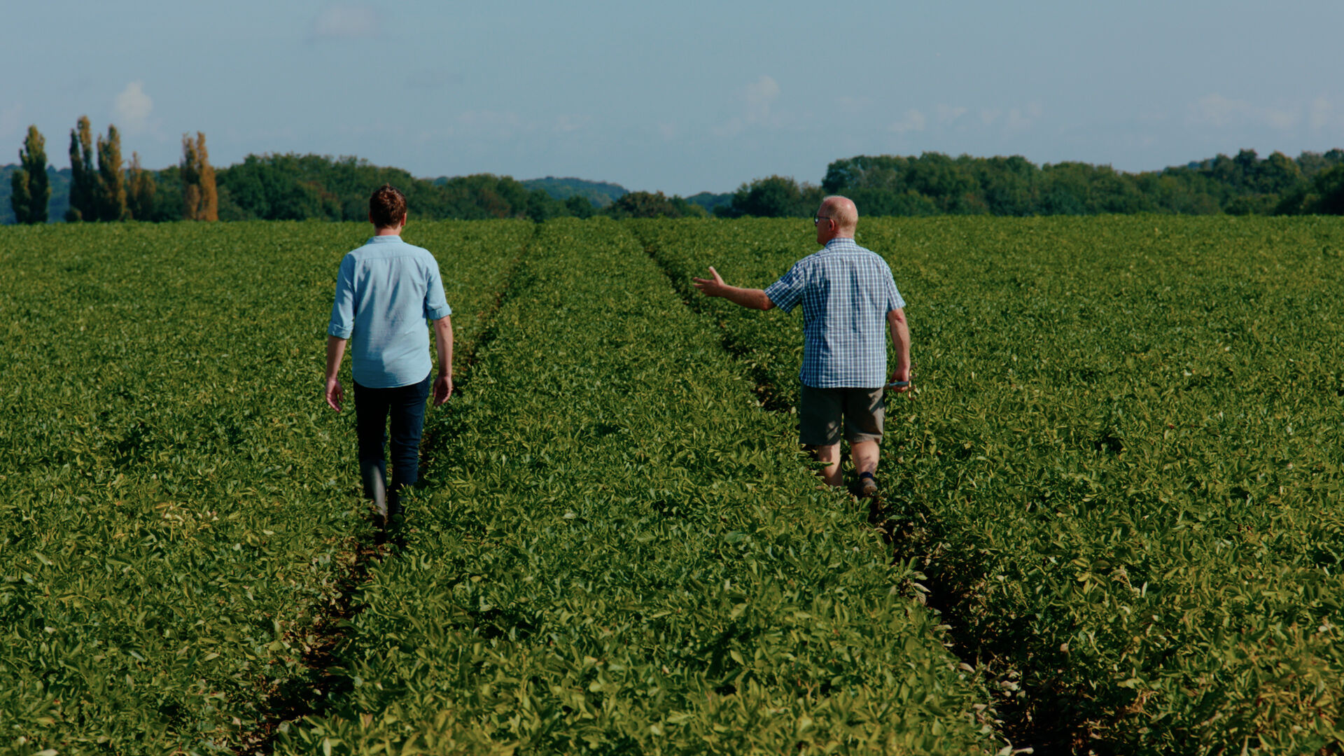 twee mensen lopen in een veld met landbouwgewassen